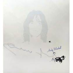 Andy Warhol 1928-1987. Mick Jagger silketryk.