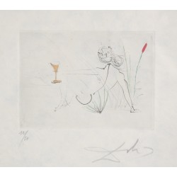 Salvador Dali (1904-1989) Petit nüs Ronsard