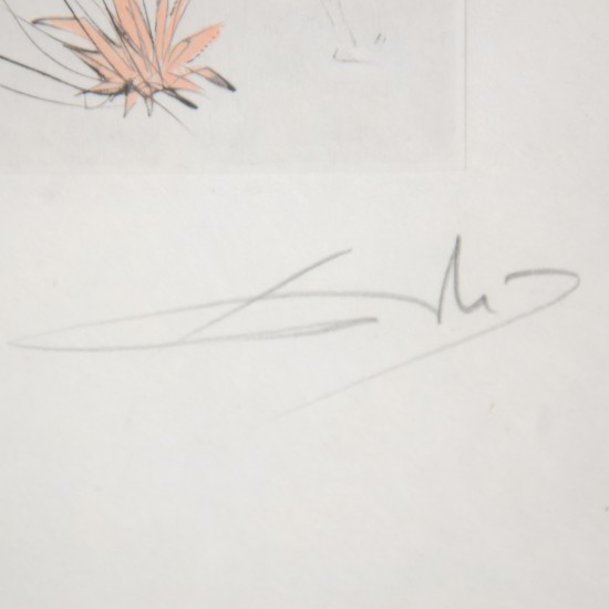 Salvador Dali (1904-1989) Petit nüs Ronsard