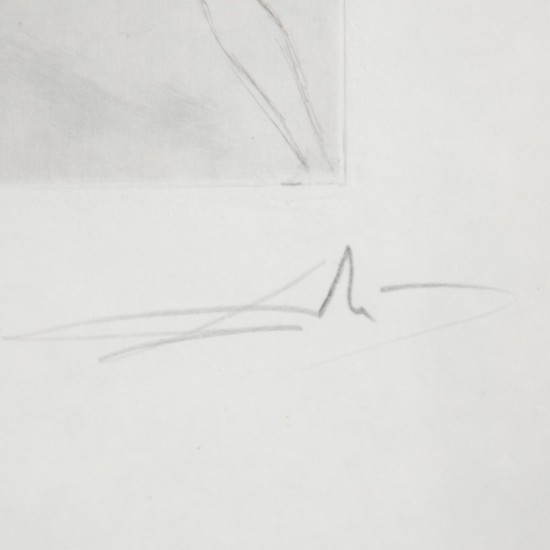 Salvador Dali (1904-1989) Petit nüs Ronsard