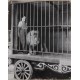 Charlie Chaplin originale pressefotos fra Statens filmcentral 4stk