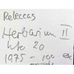 Per Kirkeby Rebeccas Herbarium 2