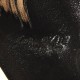 Corneille: Katte. Corneille: Katte.