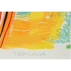 Lis Zwick (1942-2020): litografi, Tropidane