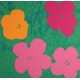 Andy Warhol 1928-1987 cd Flowers; Lithography (Set of all 10)