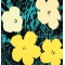Andy Warhol, “Flowers” serigrafi i farver, 91×91, certifikat medfølger