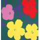 Andy Warhol 1928-1987 cd Flowers; Lithography (Set of all 10)