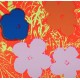 Andy Warhol 1928-1987 cd Flowers; Litografi (Sæt af alle 10)