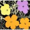 Andy Warhol, “Flowers” serigrafi i farver, 91×91, certifikat medfølger