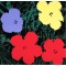 Andy Warhol, “Flowers” serigrafi i farver, 91×91, certifikat medfølger