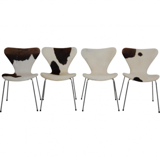 Set of four Arne Jacobsen Seven chairs in cow Hide