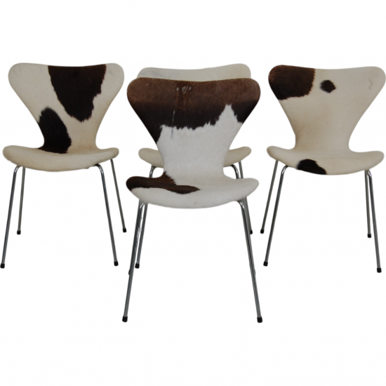 Set of four Arne Jacobsen Seven chairs in cow Hide