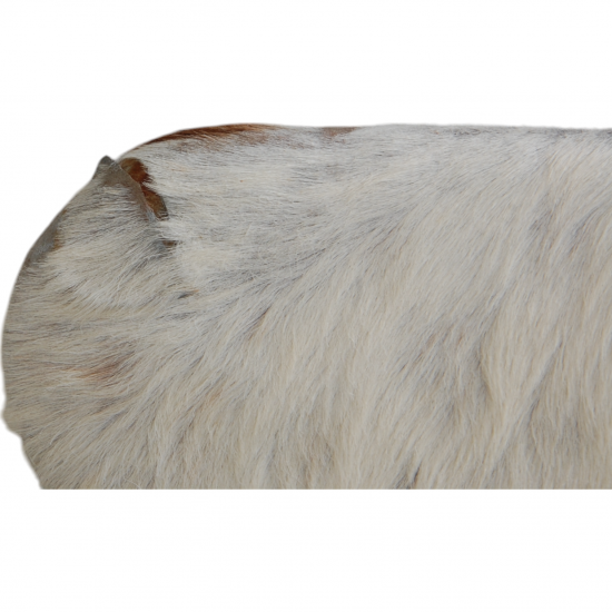 Sæt med seks Arne Jacobsen Syver stole i ko skind