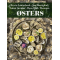 Oysters Photobook