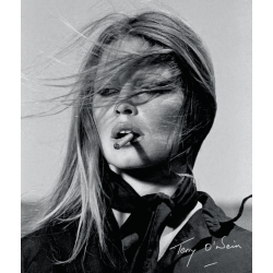 Terry O'Neill Fotobog af kendisser