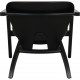Hans Wegner black Butterfly chair