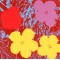 Andy Warhol 1928-1987 cd Flowers; Lithography